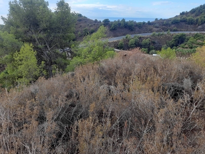 Terreno/Finca Rústica en venta en Maro - Cuevas de Nerja, Nerja, Málaga