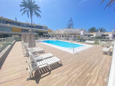 Alquiler de piso en San Agustín - Bahía Feliz - Playa del Águila de 1 habitación con terraza y piscina