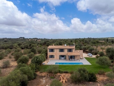 Chalet en Ses Salines