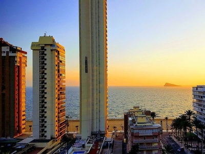 Piso en alquiler en avenida Del Mediterráneo Benidorm de 1 habitación con piscina y garaje