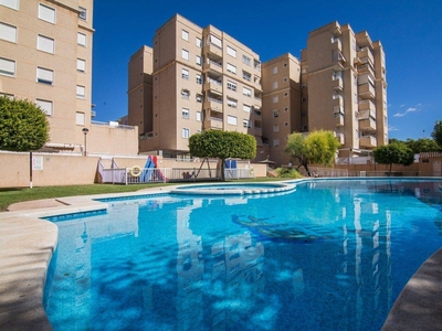 Venta Piso Elche - Elx. Piso de tres habitaciones Sexta planta con terraza