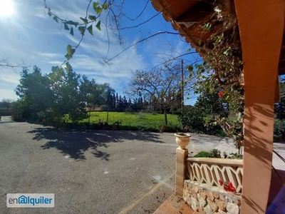 Casa o chalet de alquiler en Carrer de la Tramuntana, 3, Porto Cristo