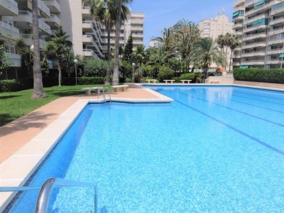 Apartamento de alquiler en Calle Clot de la Mota, Playa de Gandia