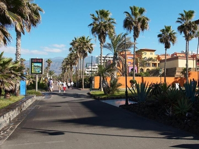 Apartamento de alquiler en V Centenario, Playa de las Américas