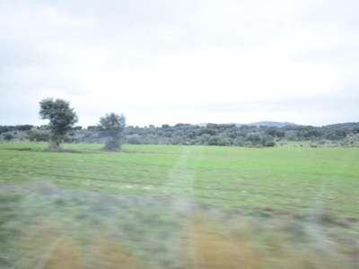 Casa con terreno en La Tala