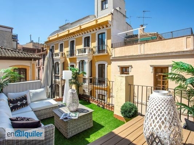 Amazing duplex with private terrace in the heart of Granada. Mesones iii