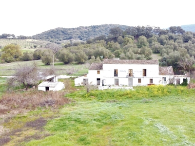 Casa de campo-Masía en Venta en Cortes De La Frontera Málaga