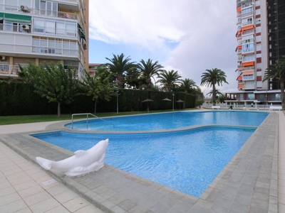 Apartamento en Alquiler en Alicante Alicante