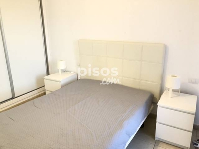 Apartamento en alquiler en Calle Turquesa