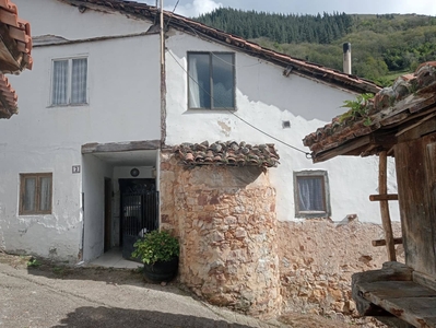 Finca/Casa Rural en venta en Proaza, Asturias