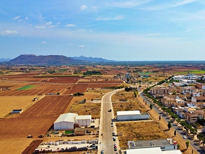 Solar/Parcela en venta en Sa Pobla, Mallorca
