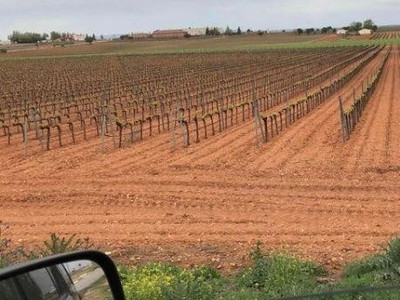 Terreno De Cultivo en Venta en Socuéllamos, Ciudad Real