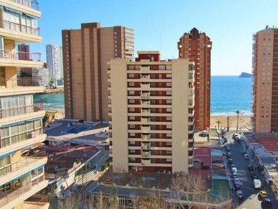 Alquiler Piso Benidorm. Piso de una habitación