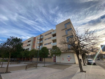 Alquiler Piso en Calle Enrique Sanchez de Leo. Badajoz