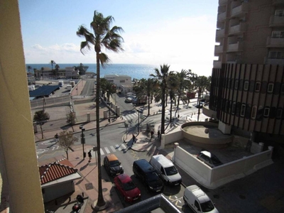 Alquiler Piso Fuengirola. Piso de una habitación en Paseo Marítimo Rey de España. 29640 Fuengirola (Málaga)zona Puerto Deportivo. Nuevo