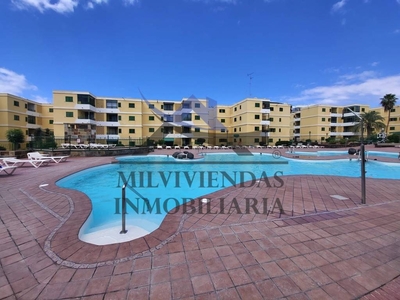 Alquiler Piso San Bartolomé de Tirajana. Piso de dos habitaciones en Avenida de Italia. Buen estado planta baja con terraza