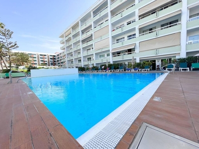 Alquiler Piso San Bartolomé de Tirajana. Piso de una habitación Con balcón