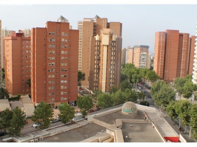 BONITO APARTAMENTO EN AVENIDA DE EUROPA