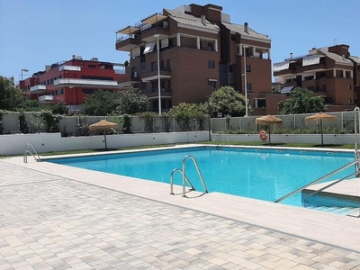 Alquiler de piso en Cerrillo de Maracena - Periodistas de 3 habitaciones con terraza y piscina