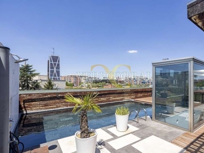 Ático espectacular ático triplex con jardín y piscina privada en Madrid