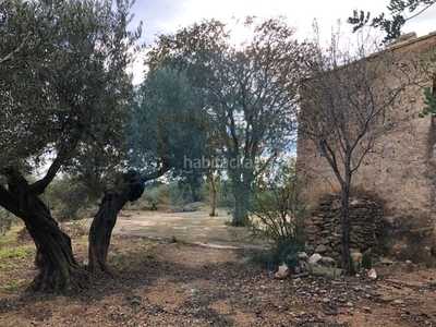 Casa bonita finca de olivos con casa de piedra. en Tortosa