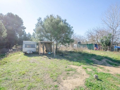 Casa para reformar a su gusto y necesidad, ideal para negocio de animales en Gavà