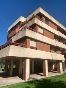 Piso en alquiler en Cascajos - Piqueras de 4 habitaciones con terraza y piscina