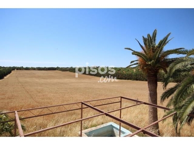 Finca rústica en venta en Porto Cristo