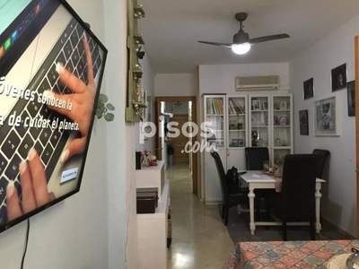 Piso en venta en Calle Avenida Doctor López Cantanero Ballesteros