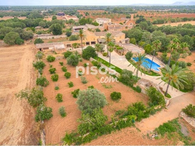 Finca rústica en venta en Llucmajor Interior