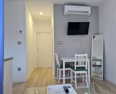 Piso en alquiler en Plaza Mayor - San Agustín de 1 habitación con muebles y calefacción