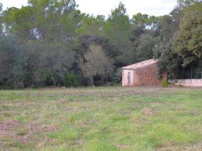 Chalet en venta en Llubí