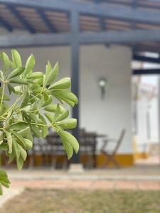 Chalet en Conil de la Frontera