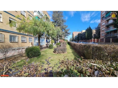 Apartamento en Granada