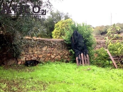 Casa con terreno en Llubí