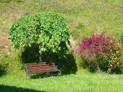 Alquiler Integro en Asturias