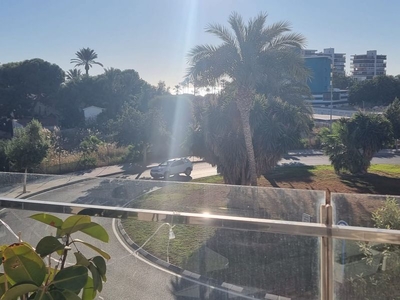 Alquiler de estudio con piscina en Playa San Juan (Alicante)