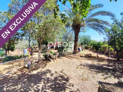 Finca rústica en venta en San Bartolomé