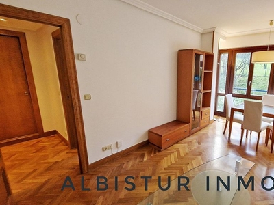 Piso en alquiler en Aiete de 1 habitación con muebles y calefacción