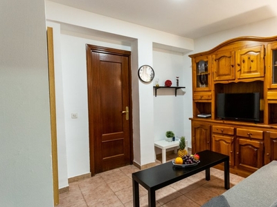 Apartamento de 1 dormitorio en alquiler en La Latina, Madrid