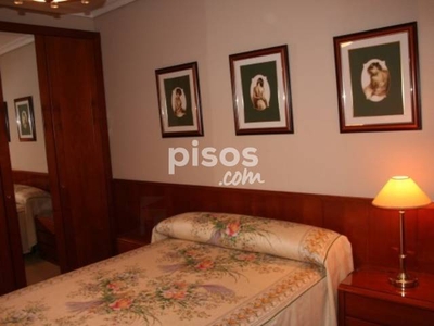 Apartamento en alquiler en Avenida de Ricardo Carapeto Zambrano, 94, cerca de Calle de Juan Labrado