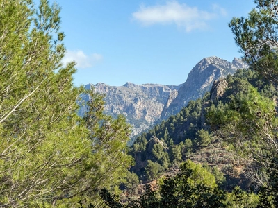 Soller finca en venta