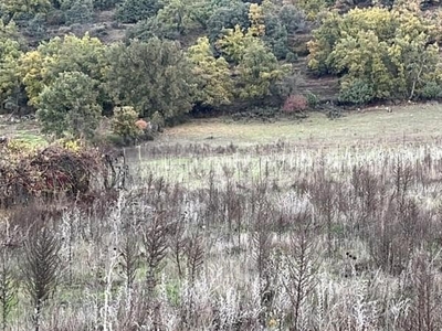 Terreno/Finca Rústica en venta en Guadalix de la Sierra, Madrid