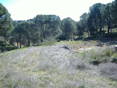 Terreno/Finca Rústica en venta en Navas del Rey, Madrid