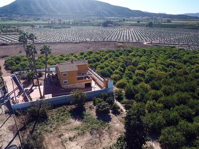 Orihuela finca en venta