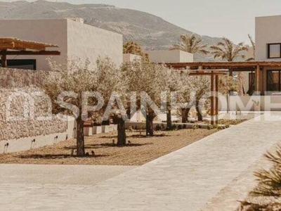 Chalet con Amplias Parcelas Cultivables en Yecla Murcia
