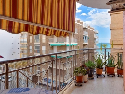 Apartamento en Torrevieja