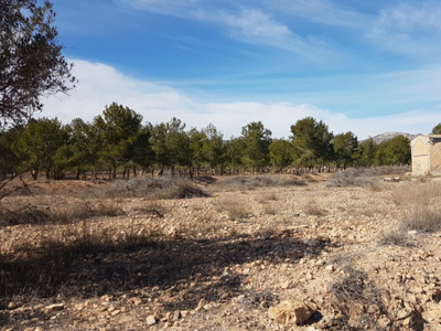 Casa con terreno en Hondon de las Nieves