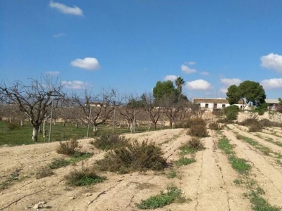 Casa con terreno en Fuente Álamo de Murcia