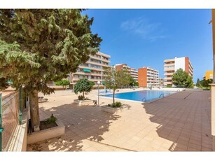 Apartamento de dos dormitorios a 200metros de la playa en Punta Prima ( Orihuela costa) Alicante